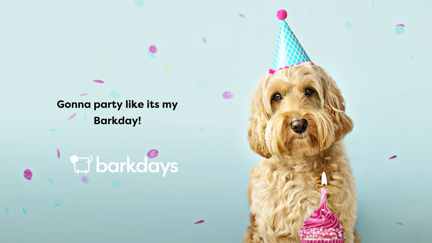 The Barkday Celebration