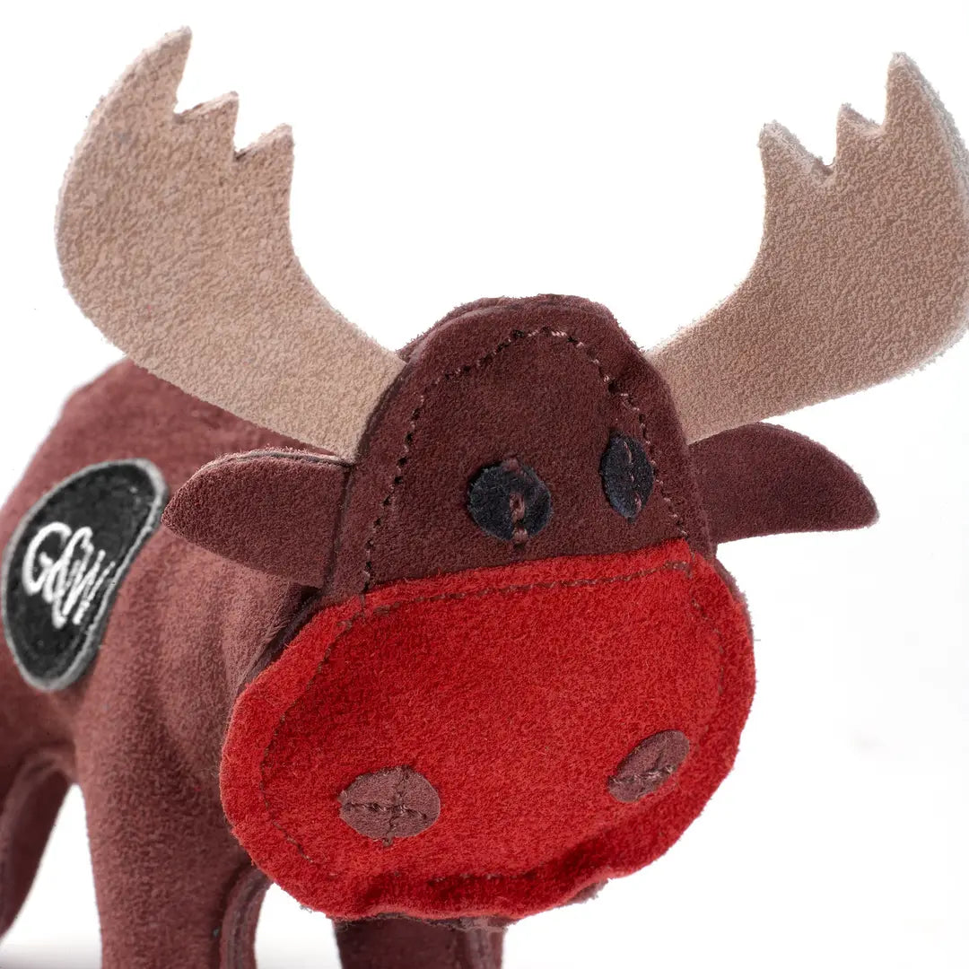 Rudy the Reindeer, Christmas