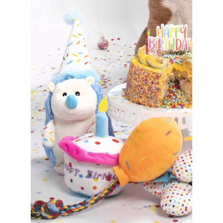Birthday Hedgehog Plush Dog Toy
