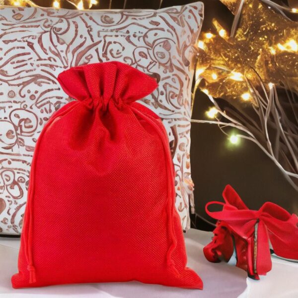 Rudy Reindeer & Pet Bakery Festive Dinner Buscuits Gift set