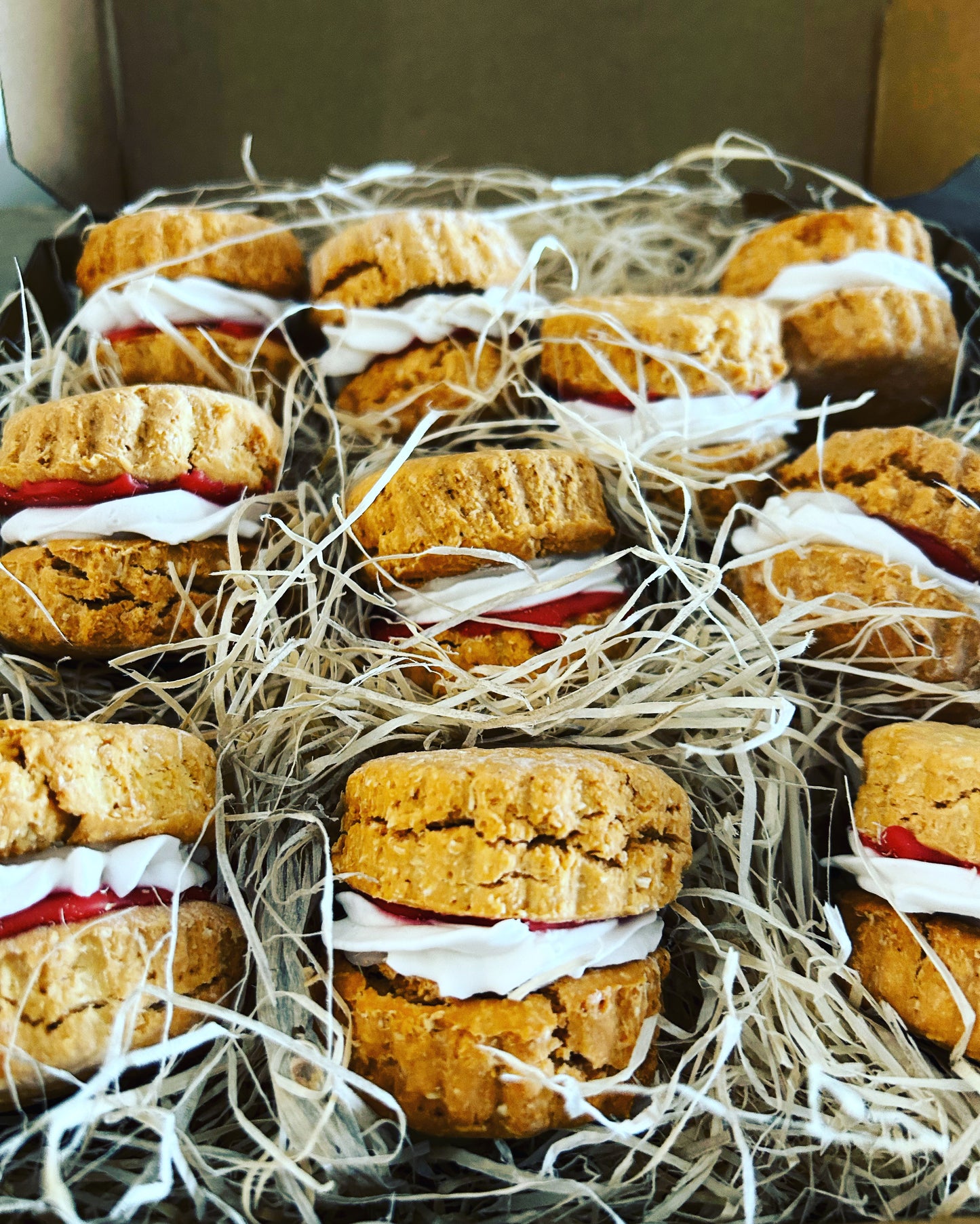 Doggy Cream Tea Scones