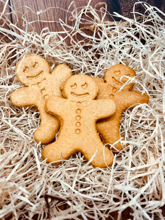 GINGERBREAD MAN - GRAIN FREE